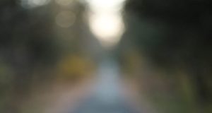 Güvenliğin İlk Adımı: SMS Onayı, Mobil Onay ve Numara Onayı Onayhizmeti1