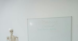 Güçlü ve Zayıf Etkileşimler ile Dil Bilgisi İlişkisi odevyardim.com2