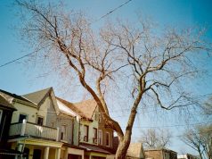 GTA 5’te Araba Hızlandırma Hilesi Nasıl Yapılır? gta 5 car speed boost cheat