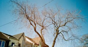 GTA 5’te Araba Hızlandırma Hilesi Nasıl Yapılır? gta 5 car speed boost cheat